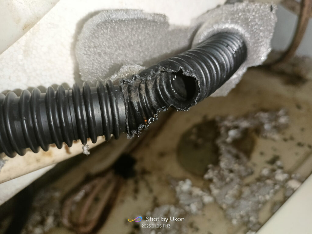 AC drain hose bitten by rodent.