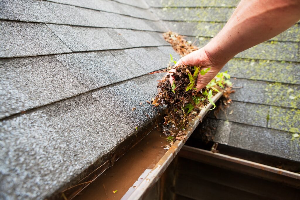 Removing leaves from gutters